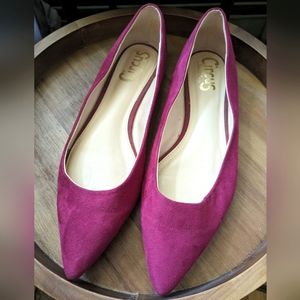 LAST CHANCE Sam Edelman Circus Pointy Flats